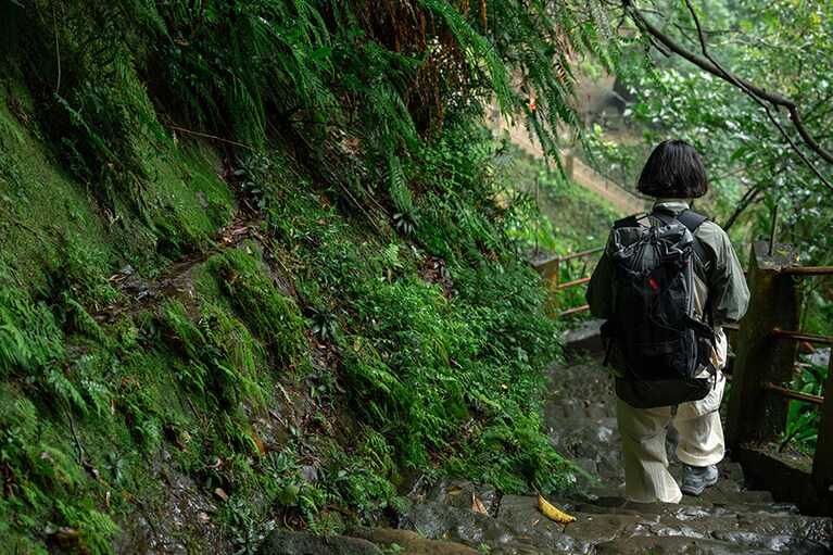 雨天の登山道。緑が濃く霞がかった雨ならではの幻想的な景色は、晴天の美しさとはまた異なる素晴らしさ。