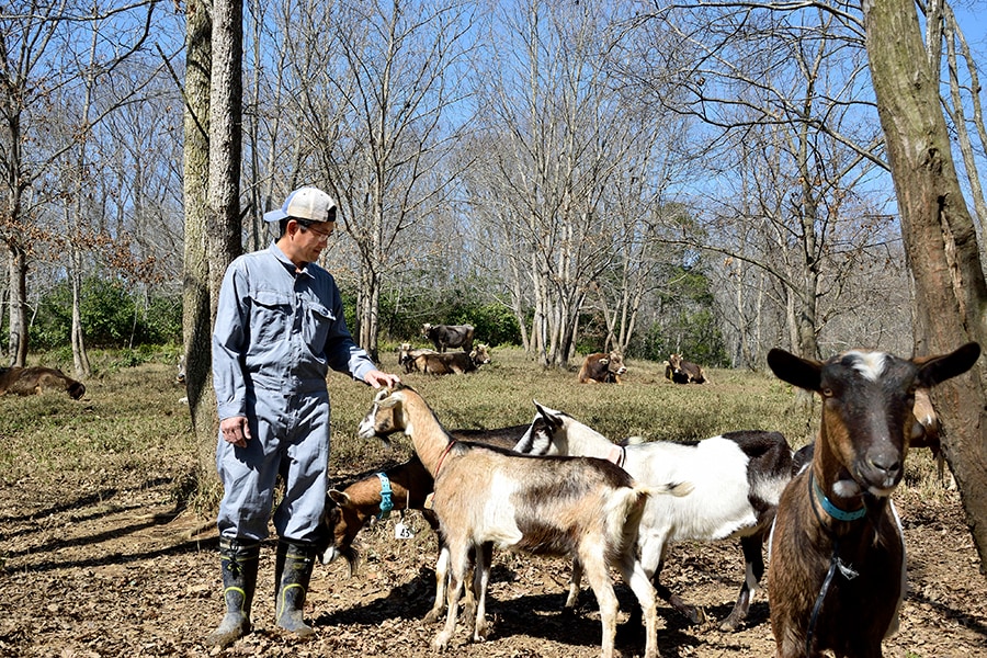 3月から5月にかけて出産時期を迎えるという山羊たちを優しく見守る松原さん。