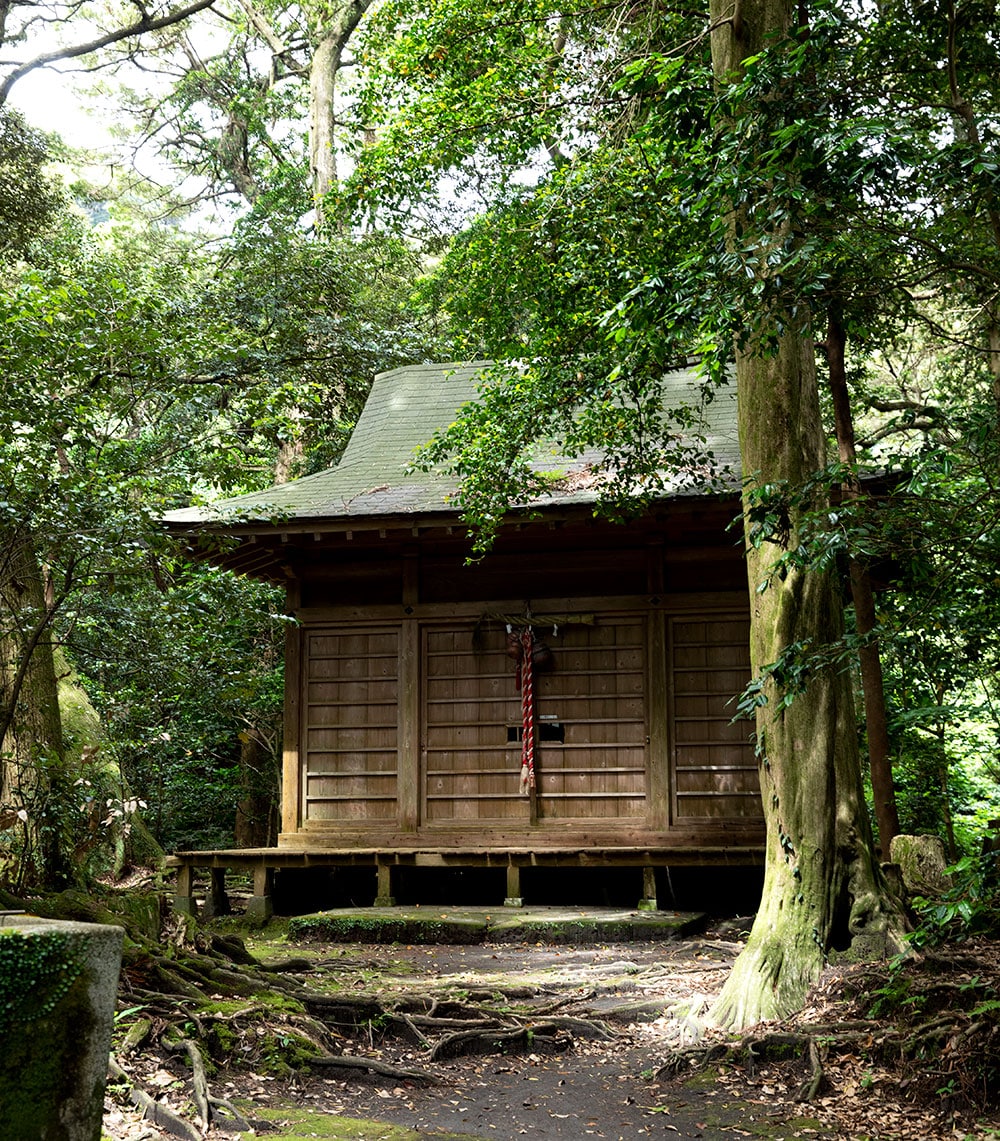 「波治加麻神社」は巨木がうっそうとして神秘的な空間。