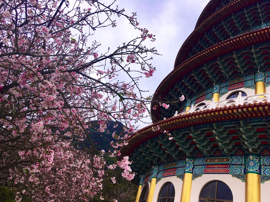 台北近郊にある桜の名所の一つ「無極天元宮」。1年のうちでこの時期にだけ撮影できる、春を感じるショット。