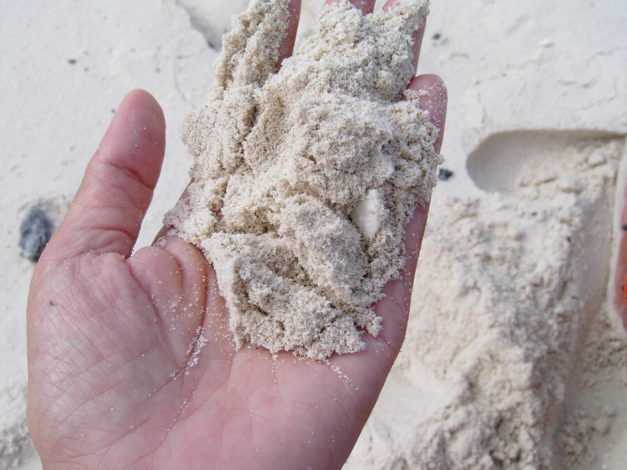 柔らかそうな白砂。この砂浜、素足で歩くと最高の気分なのです。