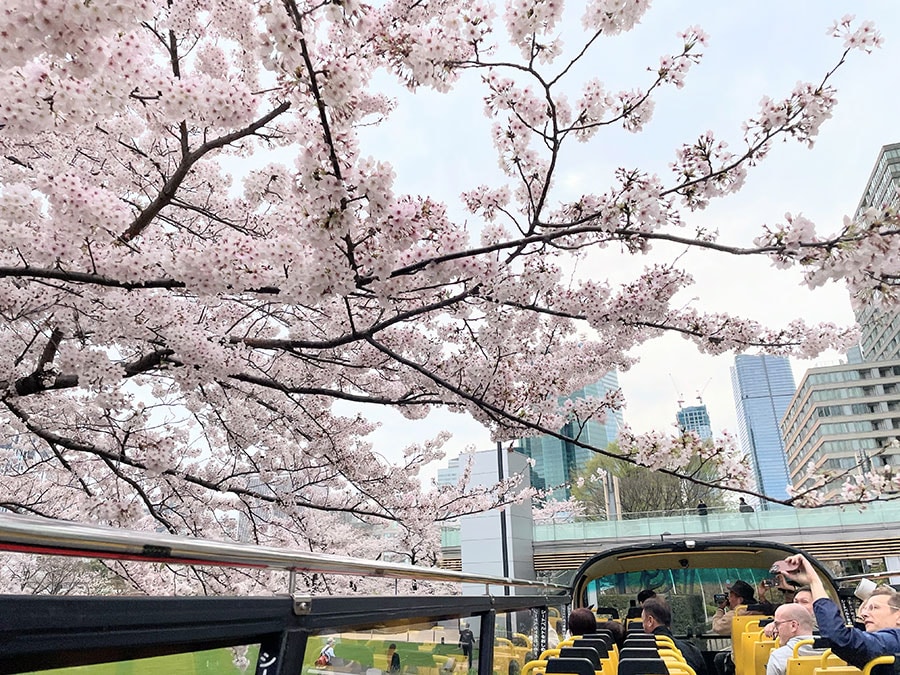 桜の名所を巡るバスツアーに乗客たちは大満足！