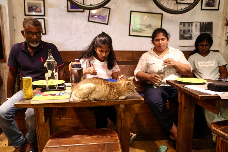 横並びに座って家族団らん。飼い猫はテーブルの上でずっと寝ていた。