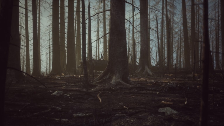 写真はイメージです。提供：アフロ