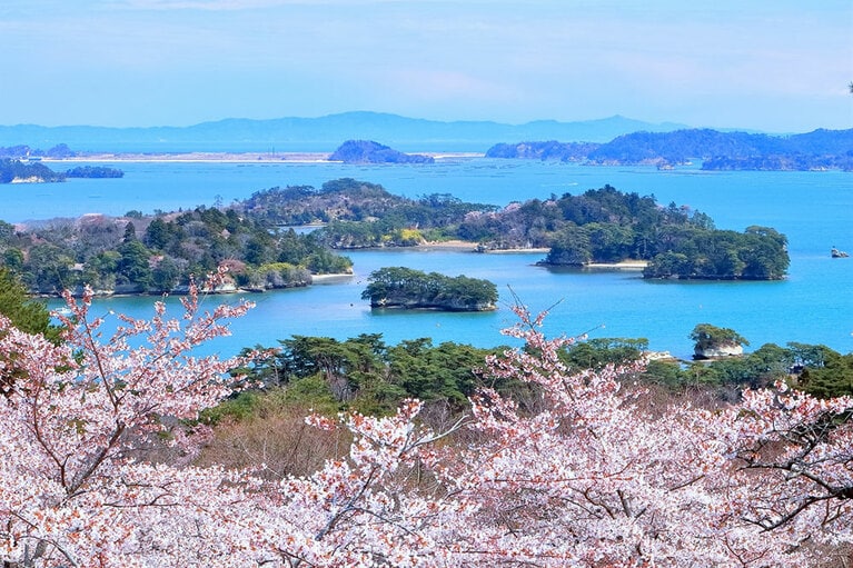 西行戻しの松公園／宮城県