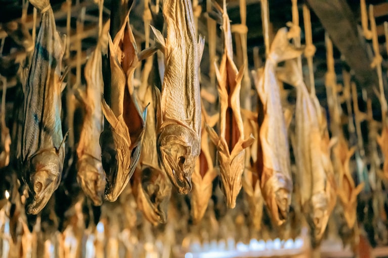 「新潟女子旅」　塩月千春 2024年11月15日、千年鮭きっかわ