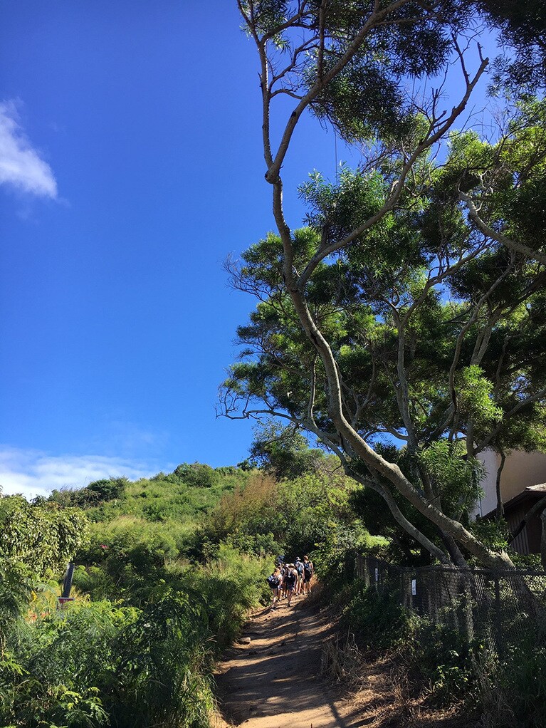 入り口は狭いけれど常に登山客が往来しているので、見落とすことはないです。