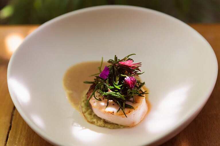 “ハタのソテーと南部風豆のカレー”。上に添えられているのは、シーバイトというタイの野菜。海藻のような風味がする。