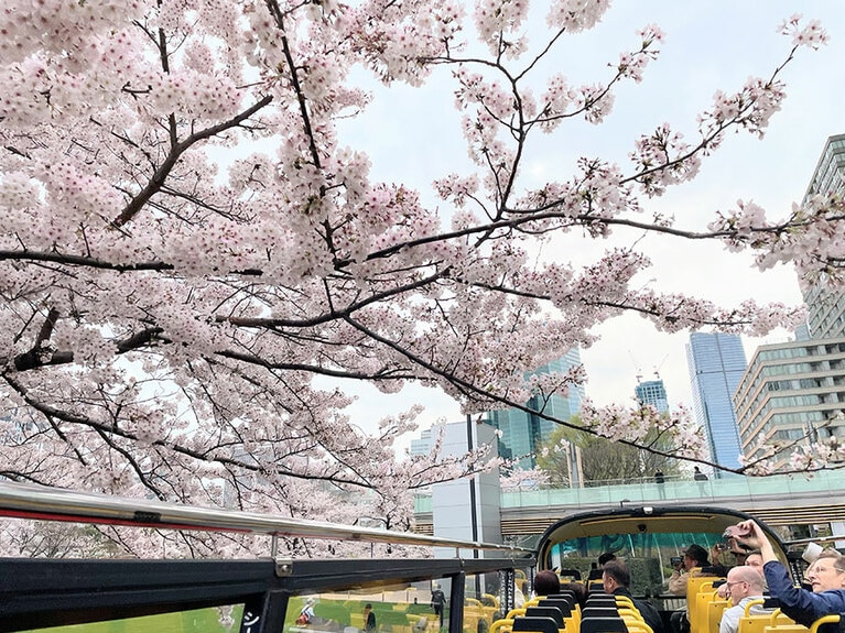 桜の名所を巡るバスツアーに乗客たちは大満足！