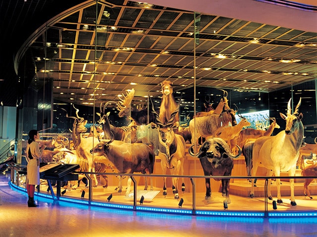 1万4千点の展示物がガクモン心を刺戟する「国立科学博物館」