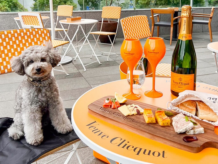 愛犬とテラスでシャンパーニュが楽しめるレアなイベント。ドッグケーキは3日前までに要予約。