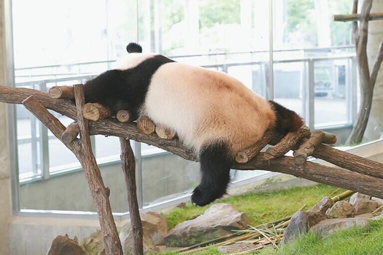 「人前でグターッとできるような、空気を読まない自由な感じがスゴいし、心底羨ましいです」(小澤さん)