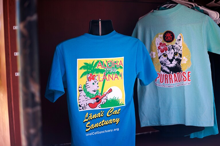 Tシャツをはじめ、キャップなど、オリジナルグッズも豊富。