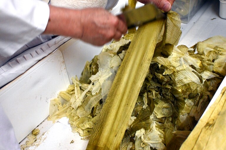 昆布の中ほどのむきこみ。さらに芯に近づくと、透けるような薄さの太白おぼろに。