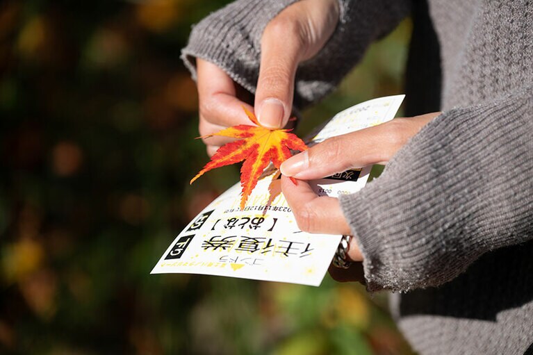 落ち葉は「本の栞にしよう」と佐竹さん。