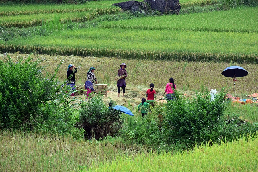 バンホー村で見かけた家族。子供たちも農作業のお手伝い。