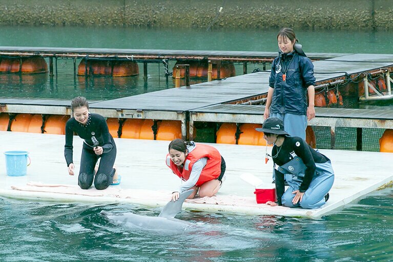 フロートに座り目の前を通るイルカにタッチする「タッチタッチドルフィン」は8分 500円。