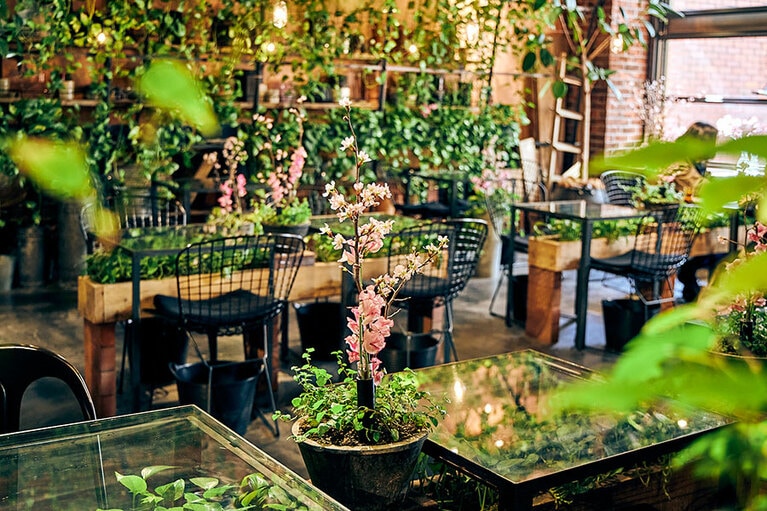 「Aoyama Flower Market TEA HOUSE 赤坂Bizタワー店」では、2021年3月25日(木)9:00～10:00、27日(土)10:00～11:00、28日(日)9:00～10:00の3回、季節の花をスタッフが紹介する「桜のFlower Morning」を開催。