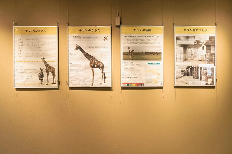 飼育員がつくった園内のパネルは知的好奇心をくすぐる内容ばかり。