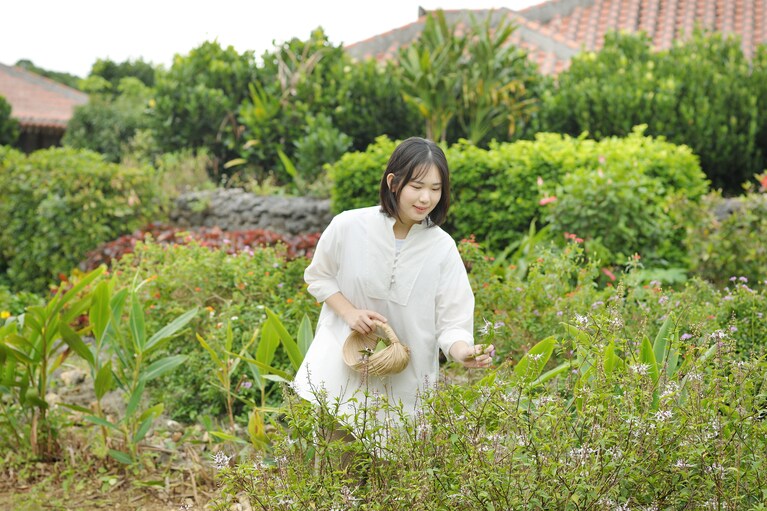 朝の涼しい時間帯にハーブを摘む。竹富島では十時茶（じゅうじちゃー）と呼ばれる習慣にならい、ハーブを用いたドリンクと伝統菓子を味わう。