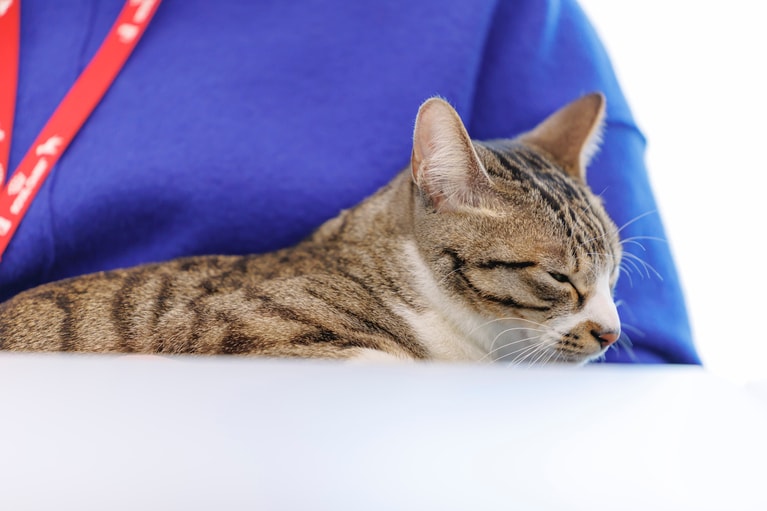 ドロンパくん。