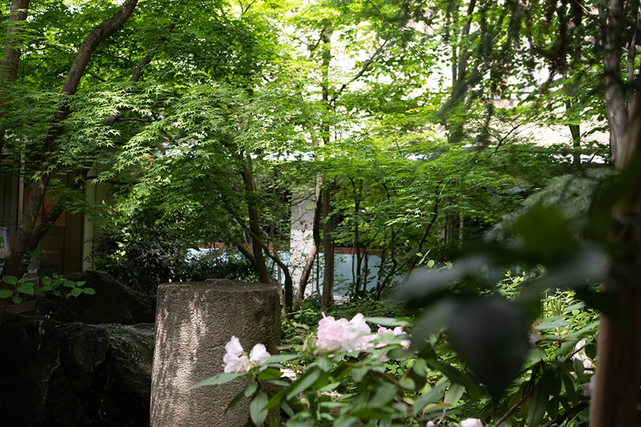 武蔵野の雑木林をイメージして造られた中庭。
