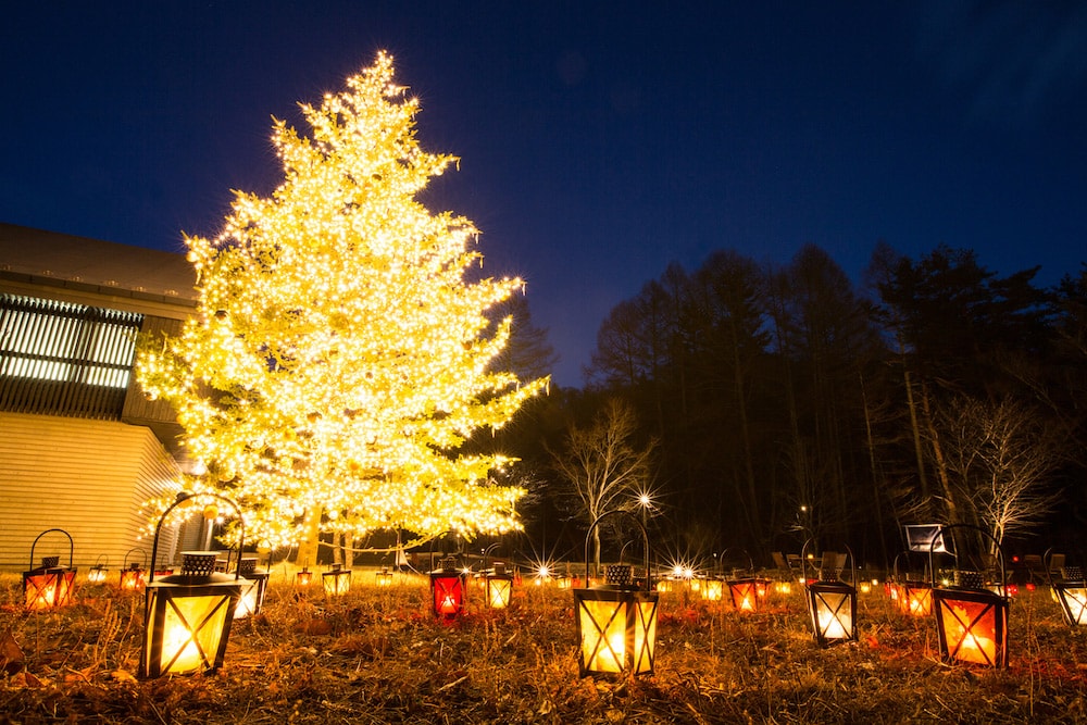 個性的なショップや飲食店などがある、「軽井沢星野エリア」では2018年11月17日(月)～12月25日(火)に“クリスマスタウン軽井沢2018”を開催。「もみの木広場」にはシンボルツリーとして、高さ10メートルの本物のもみの木が飾られ、イベント開催中は毎日イルミネーションを点灯。