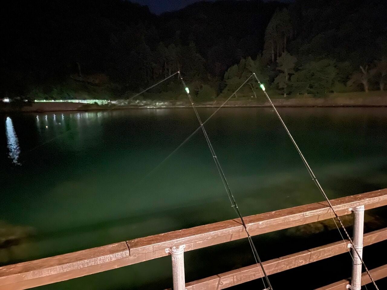 明りに小魚が集まって大型魚の回遊もありそうな雰囲気