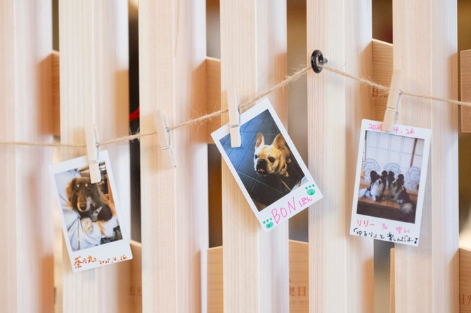 宿泊記念のポラロイド写真。愛犬の名前を記して好きな場所に飾ることができる。
