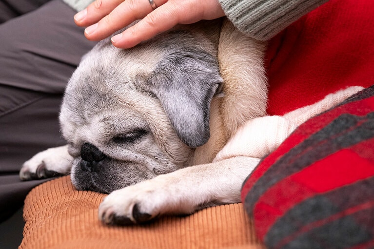 アザーカット。