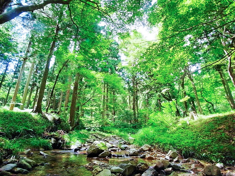 飯南町ふるさとの森。