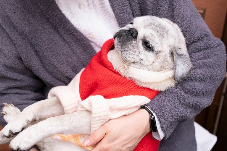 アザーカット。