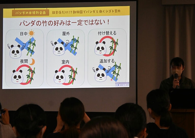 上野動物園にいるパンダの竹の好み。季節や個体などによっても好みは異なる。