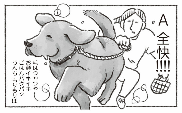 『老犬とつづ井』つづ井／文藝春秋　初出：2024年9月6日