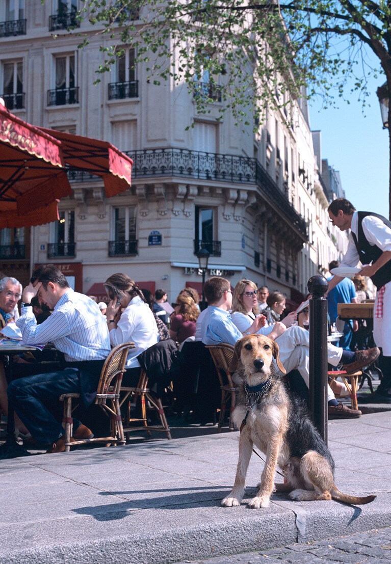 フランス©Atsushi Hashimoto