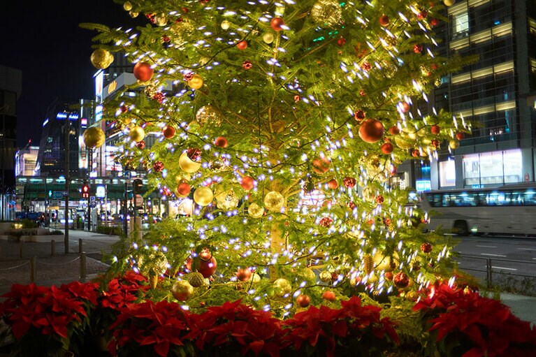 屋外のツリー。