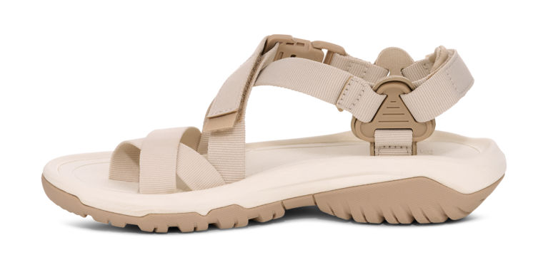 「Hurricane Terra Dactyl」