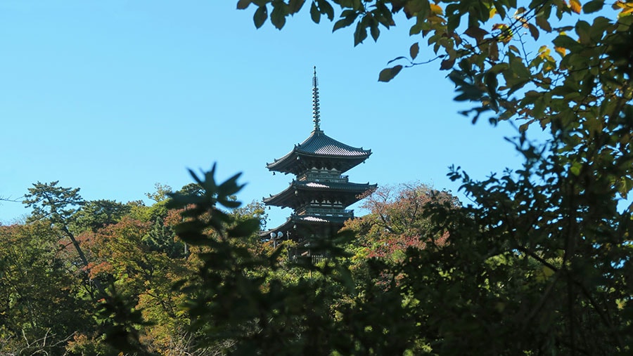 三溪園のシンボル「旧燈明寺三重塔」。室町時代に造られ、大正時代に京都から移築された園内で最も古い建物です。