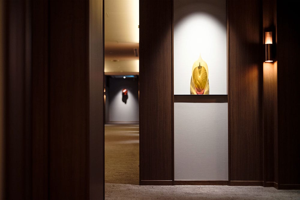 客室廊下にはガラス作家・佐藤聡さんの連作《蓮》や、漆芸作家・石塚源太さんによる漆作品が。