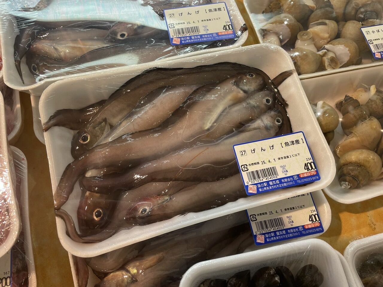 道の駅 蜃気楼の鮮魚コーナー