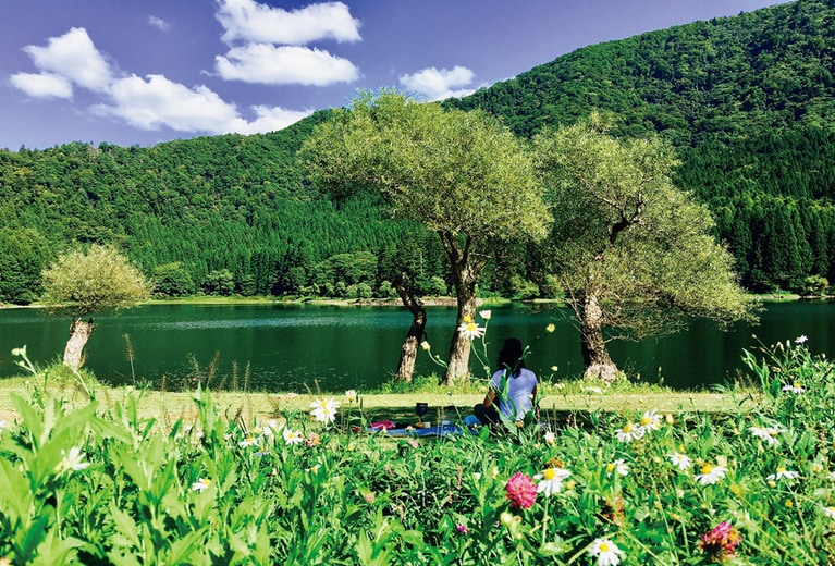 都会の喧騒を離れた森林の中でゆっくり呼吸し、ウォーキングやヨガで心と体を整える森林セラビーⓇウォーク。