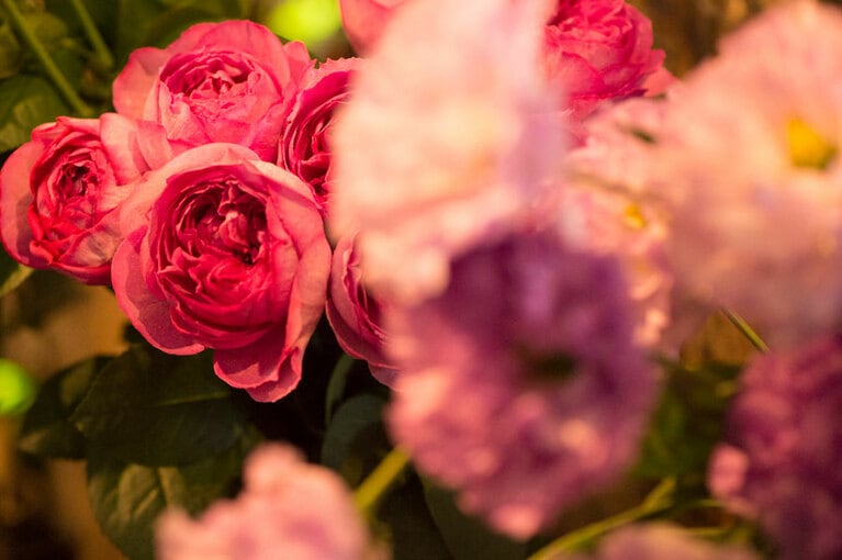 散歩の途中や、カフェでお茶や食事を終えて花を買って行く人も多い。