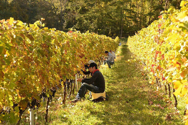 【長野県】千曲川ワインバレー東地区。写真は東御市。
