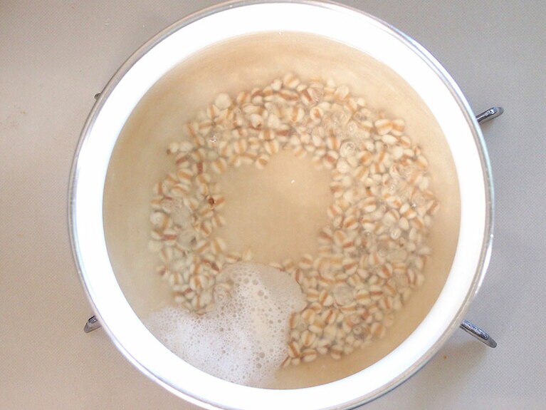 （2）ハトムギは水と共に鍋に入れ、弱火で柔らかくなるまで煮ます。茹で上がったらザルにあけて湯切りをします。