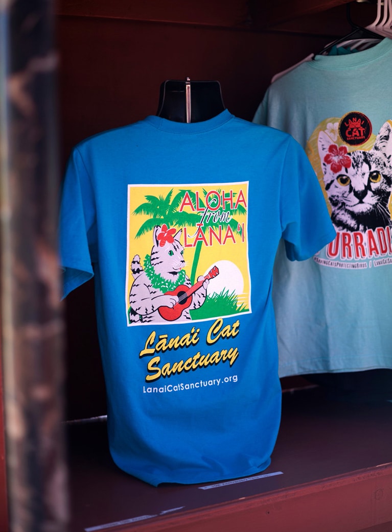 Tシャツやキャップなど、オリジナルグッズも販売。