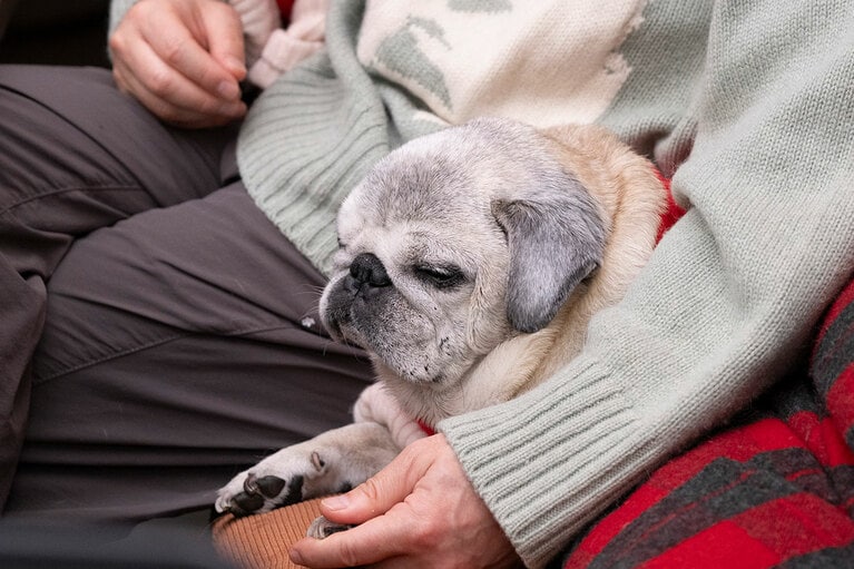 アザーカット。