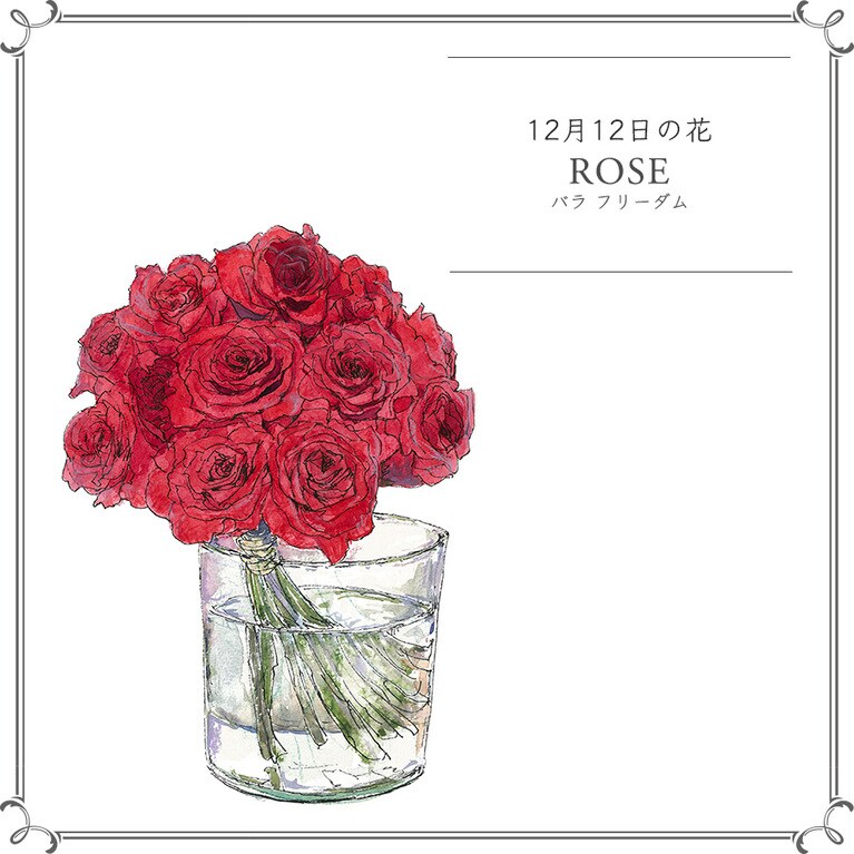 12月12日の花「バラ フリーダム」
