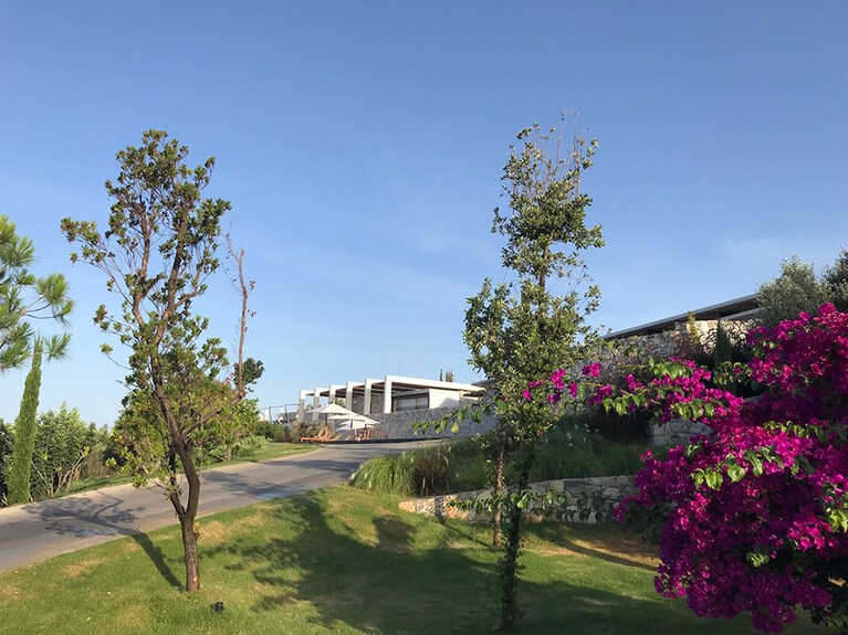 10,000平方キロの敷地を誇るシックスセンシズは植生も豊かで、色とりどりの花も目を休ませてくれる。