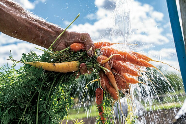 収穫したての野菜が、すぐにレストランの厨房に運ばれる。