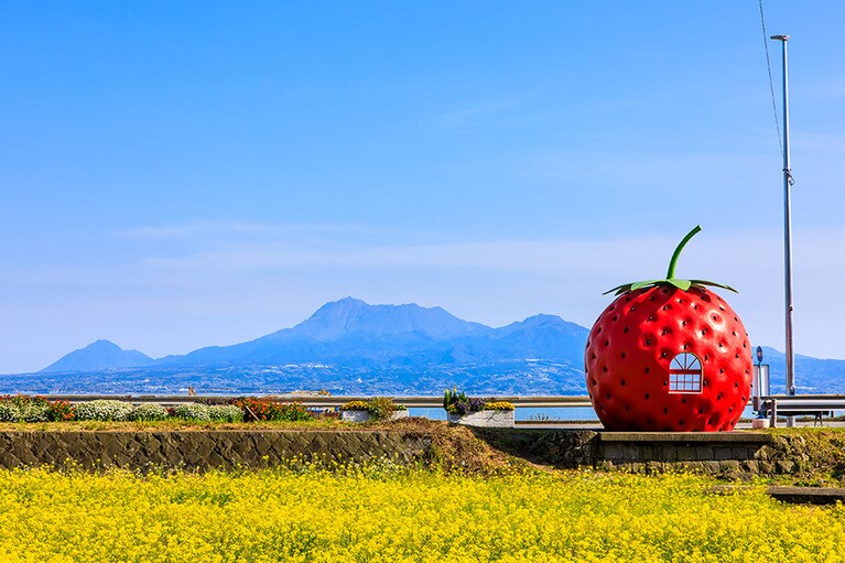 【長崎県】フルーツバス停と菜の花。